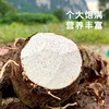 【荔浦芋头】粉糯香甜个大饱满 营养丰富 商品缩略图3