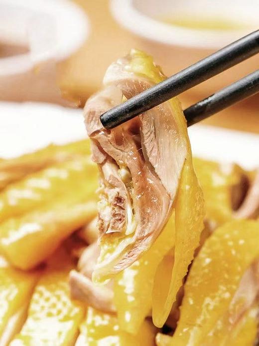 猫太推荐—河田鸡 商品图0