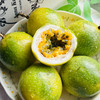 【京东包邮】钦蜜9号黄金百香果 饱满酸甜 3斤/5斤/16枚礼盒 商品缩略图4