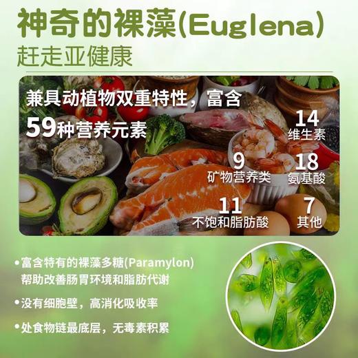 杜力德复合维生素营养补充剂  猫狗通用   1.5g*30条/盒 商品图2