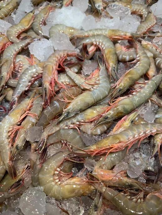 xm断货好几个月，今天新鲜刚上岸！！！天然剑虾，虾壳更薄，虾肉更紧实，风味物质更浓郁，是追求食材本味的您不可错过的选择！顺丰活冻送货到家~ 商品图5