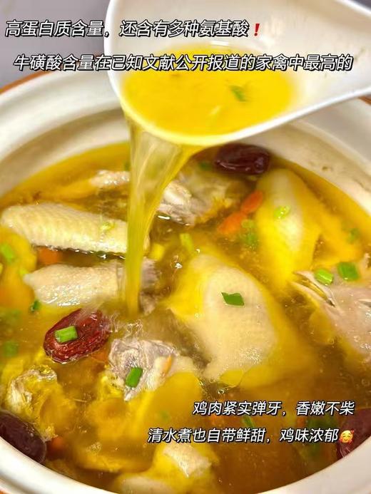 猫太推荐—河田鸡 商品图4