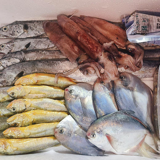 2026新年海鲜大礼包 又肥又鲜又美的海鲜吃起来 商品图1