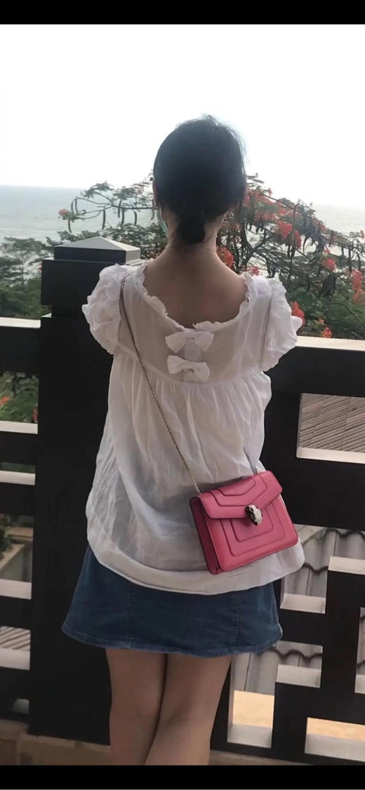 宝格丽 小号 酒红色 牛皮 蛇头包 商品图3