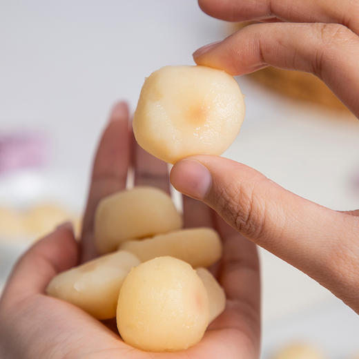 【超值10包装】栗栗家 冰糖脆马蹄 颗粒饱满 爽脆可口 60g*10袋 商品图9