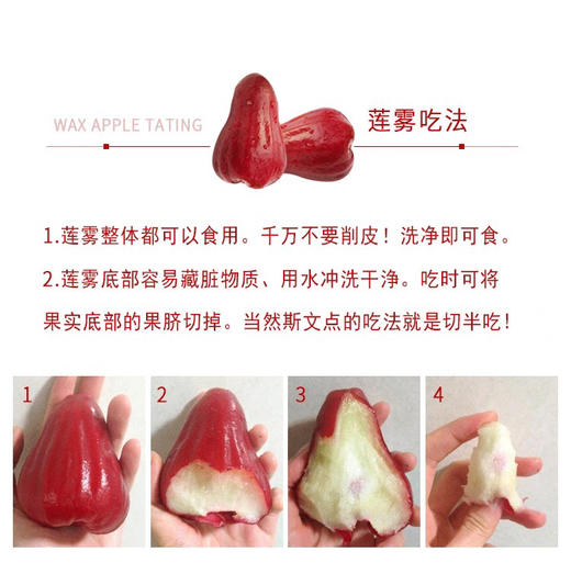 【CHUAN】海南黑金刚莲雾礼盒装，顺丰空运5斤大果（20-23个) 【礼盒装】顺丰空运 商品图3