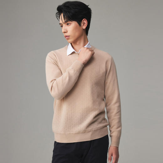 PALUOPO/PL 100%山羊绒圆领男衫ET23087R-A/约重260g帕罗 商品图4