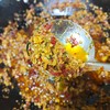 正宗贵州辣子鸡半成品 20 分钟速成大厨级硬菜 商品缩略图4