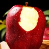 【CHUAN】甘肃天水花牛苹果9斤特大果【85-90mm/枚】 商品缩略图1