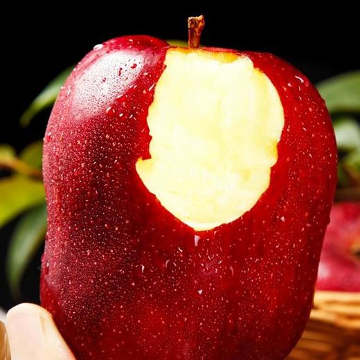 【CHUAN】甘肃天水花牛苹果9斤特大果【85-90mm/枚】 商品图1