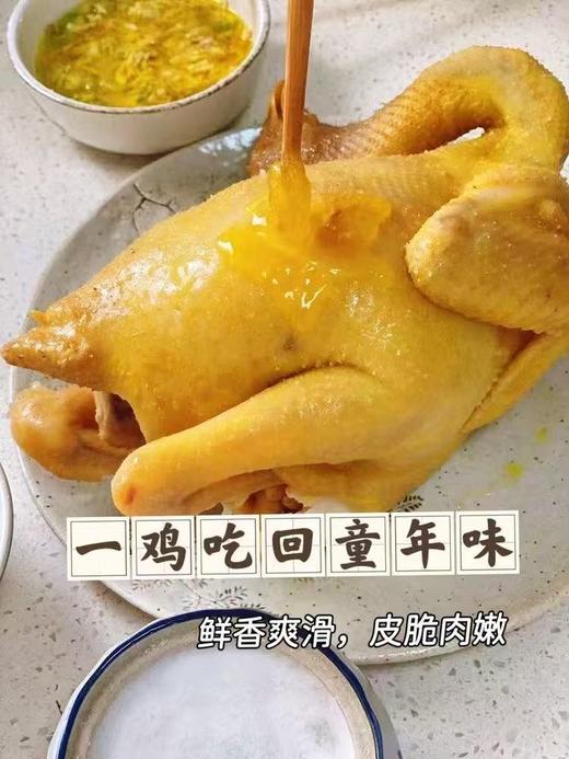 猫太推荐—河田鸡 商品图1