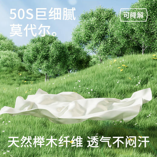 春节不打烊【天然榉木纤维❗️亲肤透气不闷汗】初中生内裤青少年少女学生发育期莫代尔透气中腰三角裤。jc 商品图2