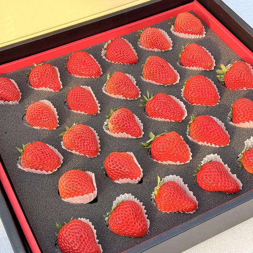 爱马仕奶油红草莓 商品图6