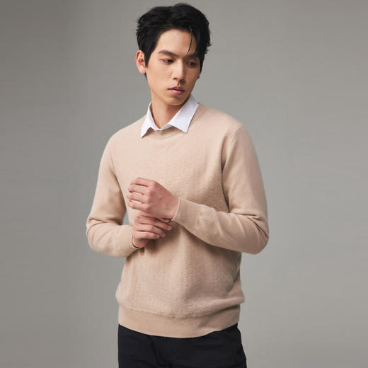 PALUOPO/PL 100%山羊绒圆领男衫ET23087R-A/约重260g帕罗 商品图2