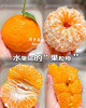 宏丰精选 甜女孩春见耙耙柑 肉质脆嫩 口感甜，活动价‼️‼️89元一件 商品缩略图2