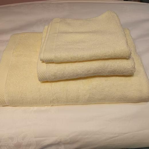 【恐龙厅】B7F丨 内野方巾+面巾+浴巾三件套 商品图3