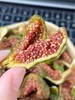 春江月青皮无花果干 商品缩略图10