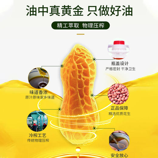 健机传统原味花生油 多种规格可选 商品图1