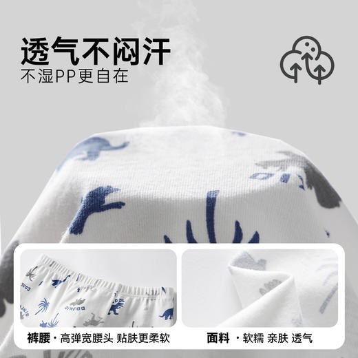 【件件底价，童装双倍积分】多多家男童内裤春秋2026新款儿童恐龙组合A类亲肤透气男孩平角裤11986 商品图2