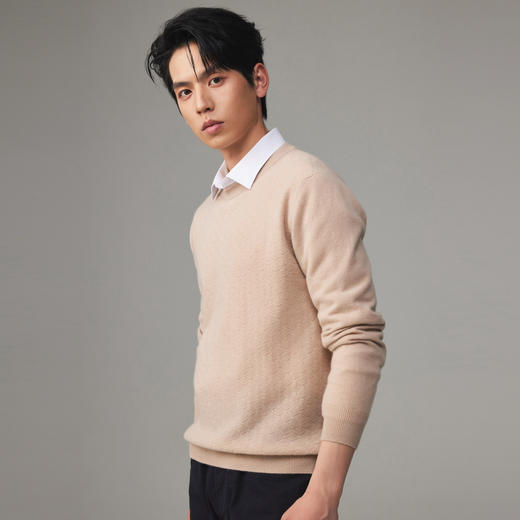 PALUOPO/PL 100%山羊绒圆领男衫ET23087R-A/约重260g帕罗 商品图1