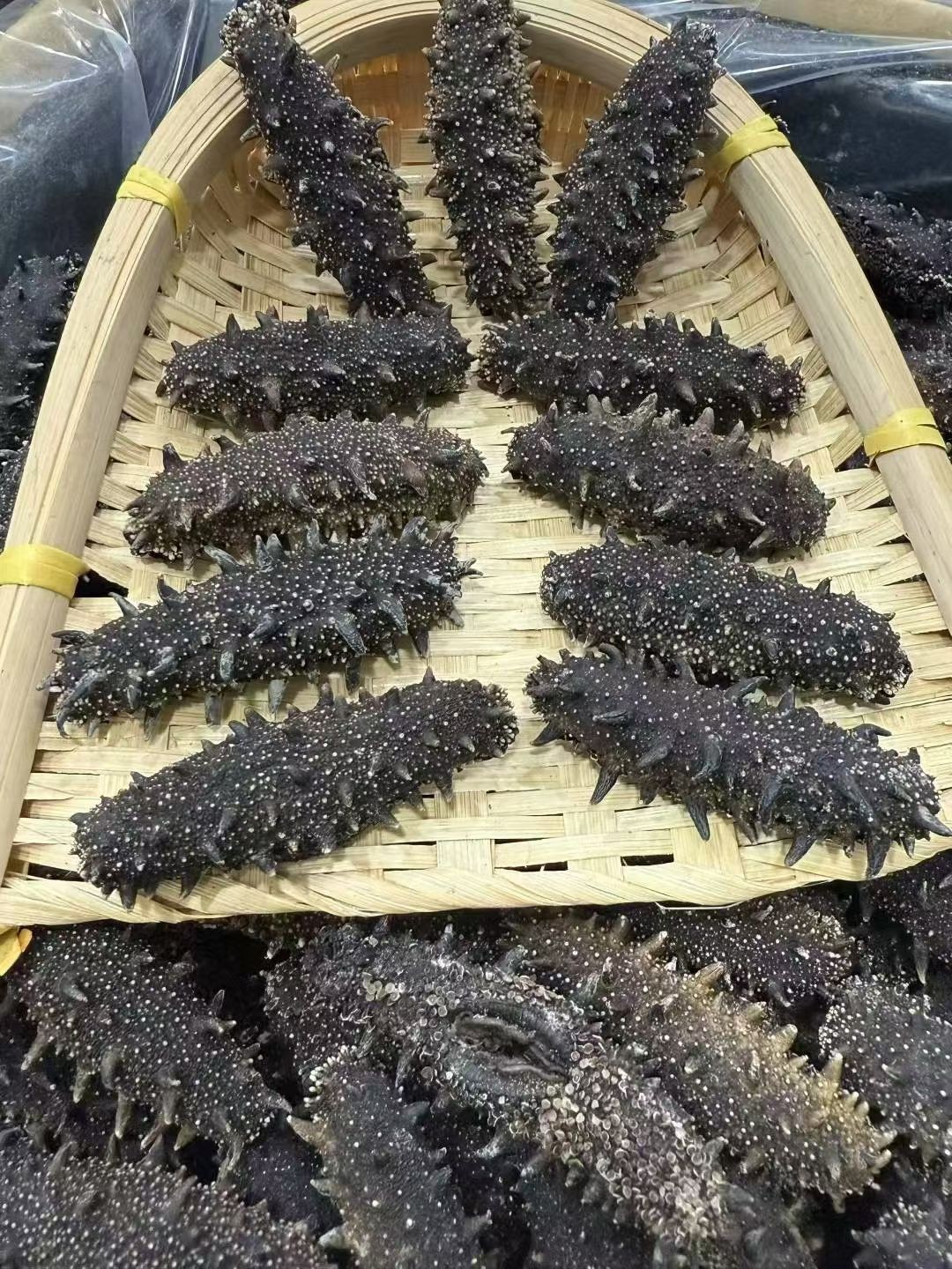 双有机顶级国标底播海参