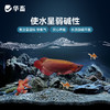 华畜鱼乐宝除氯气鱼缸净水剂水质稳定剂自来水免晒水困水平衡水质 商品缩略图3
