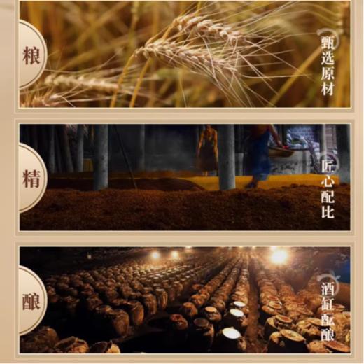 32度诸葛酿 浓香型白酒450ml 商品图3