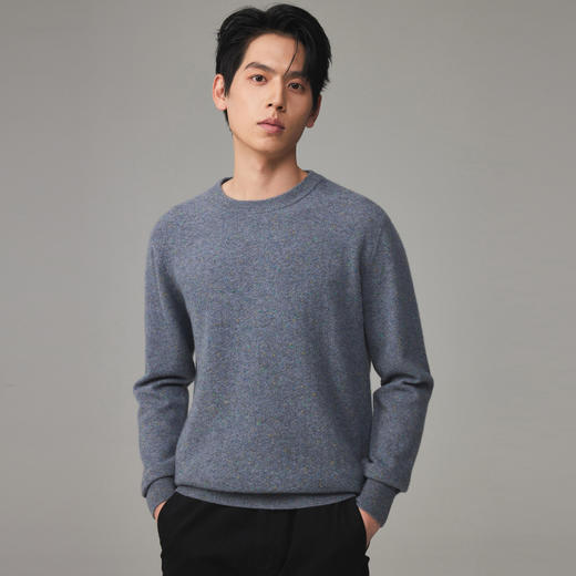 PALUOPO/PL 100%山羊绒圆领男衫ET23087R-A/约重260g帕罗 商品图11