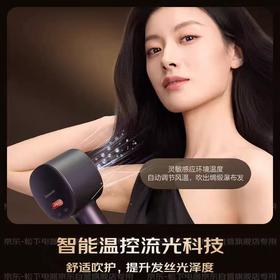 【松下】B7F 松下吹风机NX80
