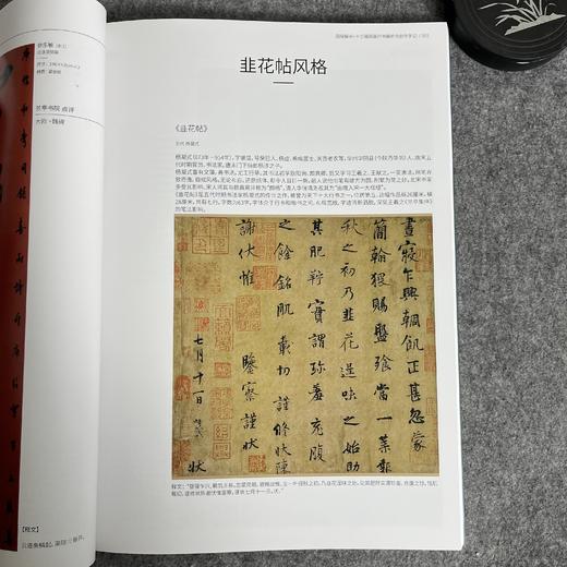 【十三届行书作品解析与创作手记】十三届行书作品集 商品图4