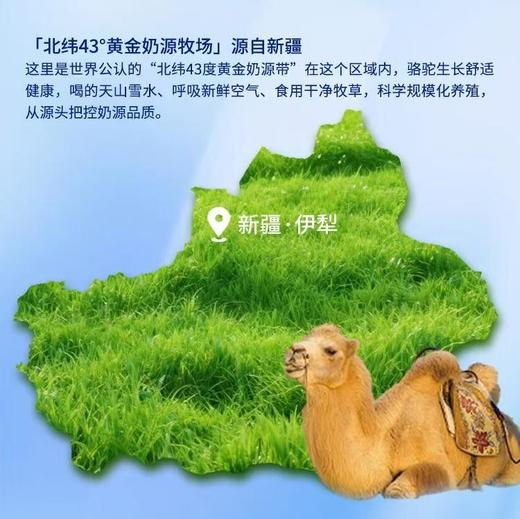 【华夏之臻眠康配方驼乳粉】奶中黄金！营养价值极高，1杯驼奶粉=10杯牛奶=3杯羊奶，入口丝滑细腻，驼奶+茶叶茶氨酸双buff！每100g含100mg幸福氨基酸，比普通奶粉多3倍 商品图5