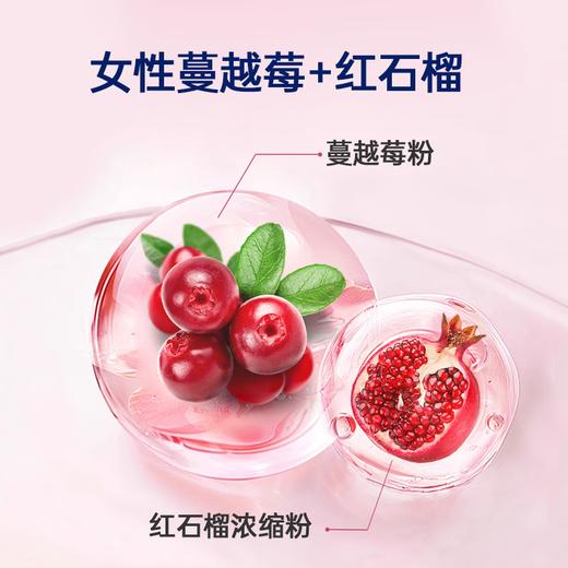 哈德爱因斯坦活性益生菌冻干粉 4500亿CFU活性益生菌添加冻干粉乳酸菌粉 一盒装 2g*15包(成人专用款) 商品图1