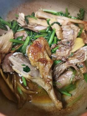 猫太推荐---姜母鸭🌟，养生翻倍，抓住养生时机