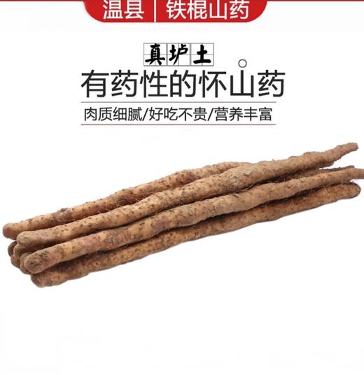 【温县垆土铁棍山药 】养生好物  正宗怀山药，新鲜现挖，口感绵密粉糯，美味又健康 商品图0