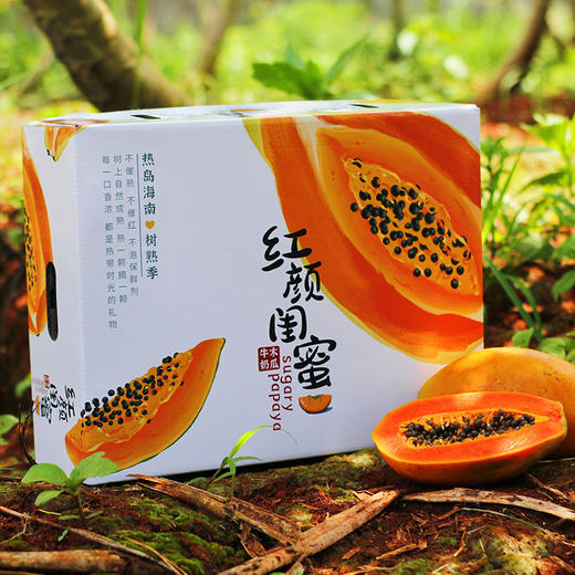 【树熟木瓜】皮薄肉厚口感嫩滑 滋补养颜美味健康 商品图3