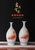 珐琅彩瓷瓶“吉庆有余 商品缩略图0