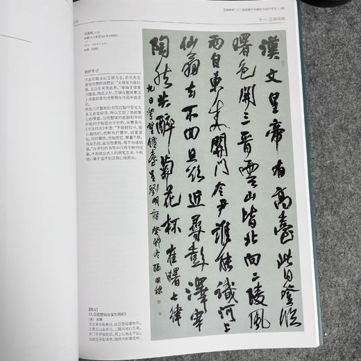 【十三届行书作品解析与创作手记】十三届行书作品集 商品图7