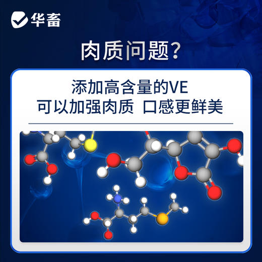 【整吨更优惠】华畜4%生长猪中猪预混料 畜牧饲料添加剂 可加鱼粉玉米饲料原料 商品图2