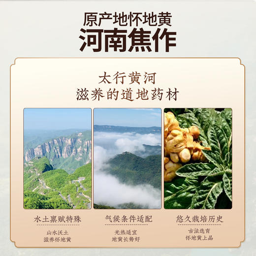 九蒸九晒怀地黄抱枣 | 灰枣+怀地黄传统工艺药食同源营养礼盒250g独立包装 商品图3