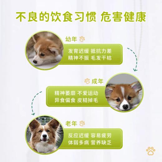 杜力德复合维生素营养补充剂  猫狗通用   1.5g*30条/盒 商品图4