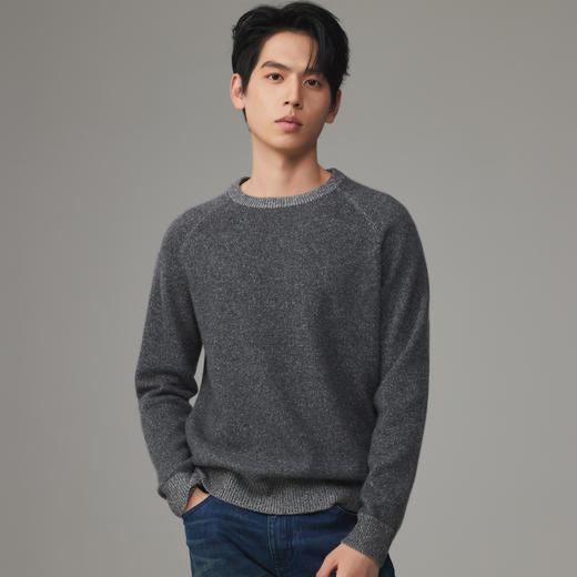 PALUOPO/PL 100%山羊绒圆领男衫ET23937R/约重330g帕罗 商品图2