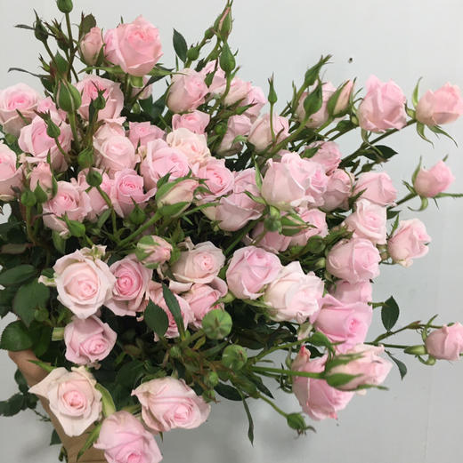 多头玫瑰.完美甜蜜 商品图2