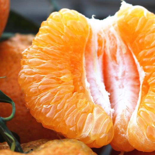 【CHUAN】四川春见耙耙柑 【精品套袋果】净重9斤果王 90-100mm 14个内顺丰快递 商品图1