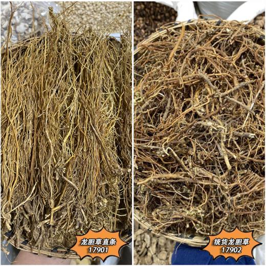 龙胆草 竖条直条 统货 切短 干净 商品图0