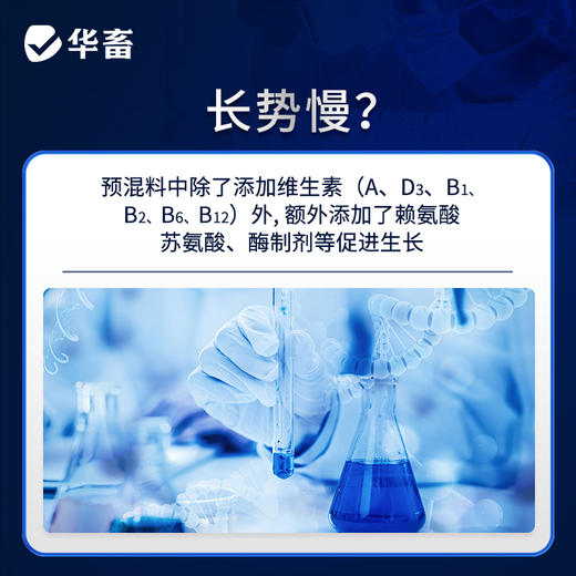 【整吨更优惠】华畜4%生长猪中猪预混料 畜牧饲料添加剂 可加鱼粉玉米饲料原料 商品图1
