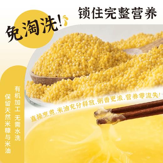 【2025年秋季新米】【谦益】香畴 压塌楼小米2斤 老品种 自然农法种植  山西太行山区传统品种  色泽自然 孕妇月子粥 米油浓厚 商品图2