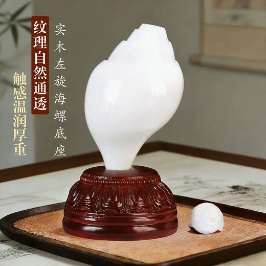 新款木质实木底座海螺专用底座大海螺配套摆件底座 商品图0