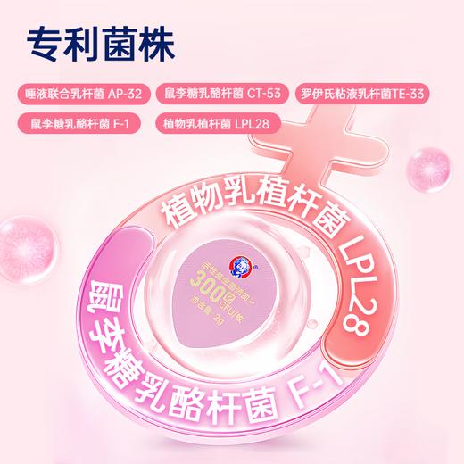 哈德爱因斯坦活性益生菌冻干粉 4500亿CFU活性益生菌添加冻干粉乳酸菌粉 一盒装 2g*15包(成人专用款) 商品图2