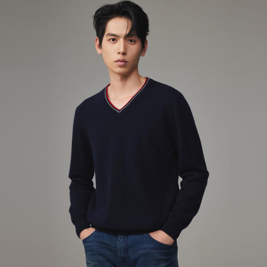 PALUOPO/PLV领男衫ET23936R-A/约重259g帕罗 商品图2