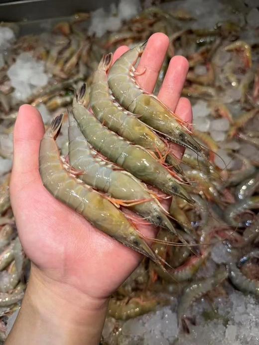 xm断货好几个月，今天新鲜刚上岸！！！天然剑虾，虾壳更薄，虾肉更紧实，风味物质更浓郁，是追求食材本味的您不可错过的选择！顺丰活冻送货到家~ 商品图8